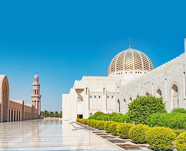 تور گردشگری